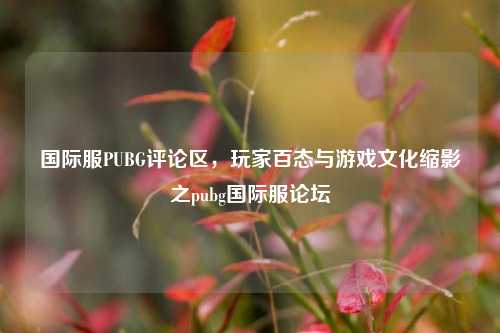 国际服PUBG评论区，玩家百态与游戏文化缩影之pubg国际服论坛