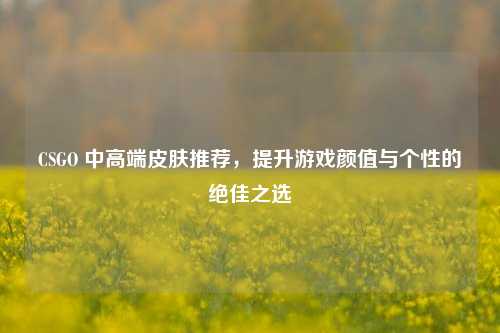 CSGO 中高端皮肤推荐，提升游戏颜值与个性的绝佳之选