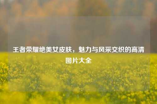 王者荣耀绝美女皮肤,魅力与风采交织的高清图片大全