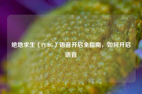 绝地求生（PUBG）语音开启全指南，如何开启语音