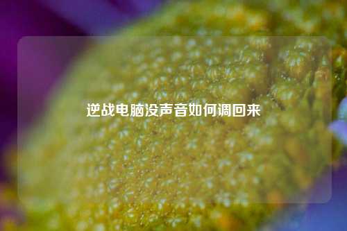 逆战电脑没声音如何调回来
