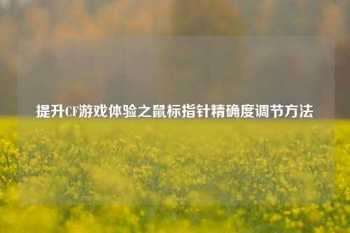 提升CF游戏体验之鼠标指针精确度调节方法
