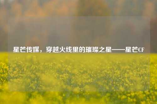 星芒传媒,穿越火线里的璀璨之星——星芒CF