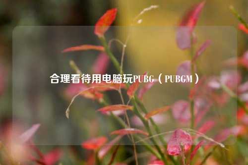 合理看待用电脑玩PUBG(PUBGM)