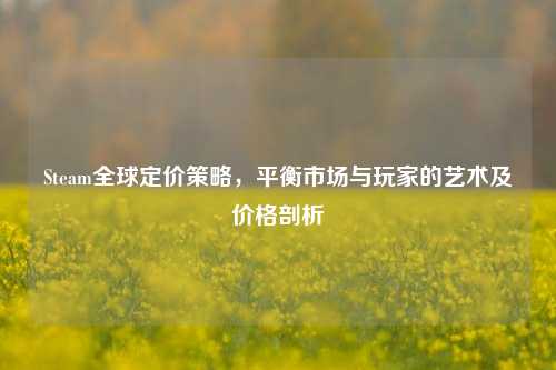 Steam全球定价策略,平衡市场与玩家的艺术及价格剖析