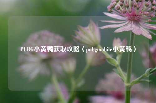 PUBG小黄鸭获取攻略（pubgmobile小黄鸭）