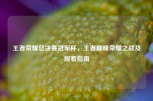 王者荣耀总决赛冠军杯，王者巅峰荣耀之战及观看指南