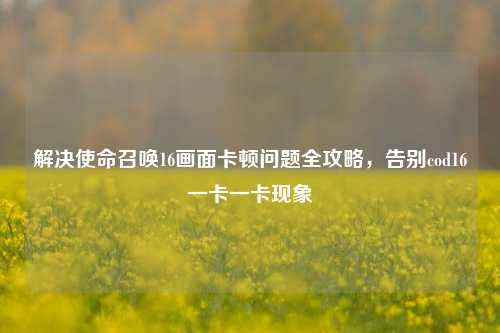 解决使命召唤16画面卡顿问题全攻略,告别cod16一卡一卡现象