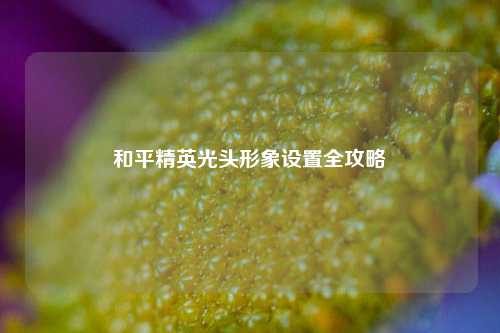 和平精英光头形象设置全攻略