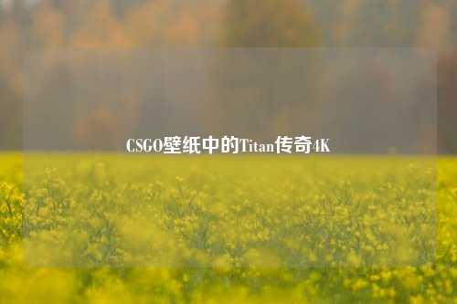 CSGO壁纸中的Titan传奇4K