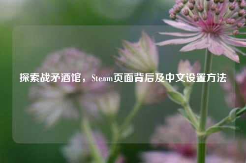 探索战矛酒馆,Steam页面背后及中文设置方法