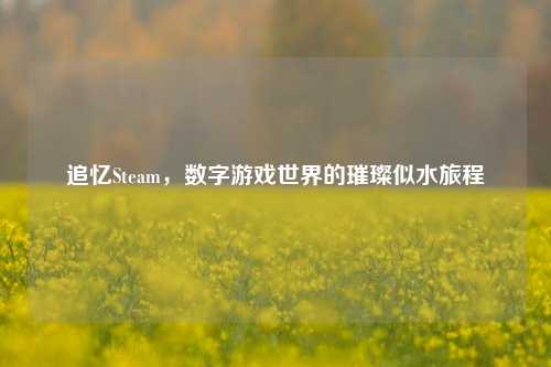 追忆Steam，数字游戏世界的璀璨似水旅程