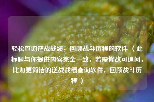 轻松查询逆战战绩,回顾战斗历程的软件 (此标题与你提供内容完全一致,若需修改可追问,比如更简洁的逆战战绩查询软件,回顾战斗历程 )