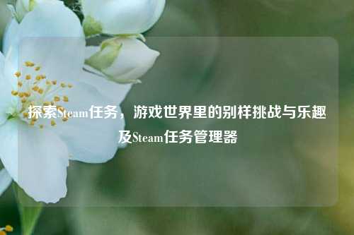 探索Steam任务,游戏世界里的别样挑战与乐趣及Steam任务管理器