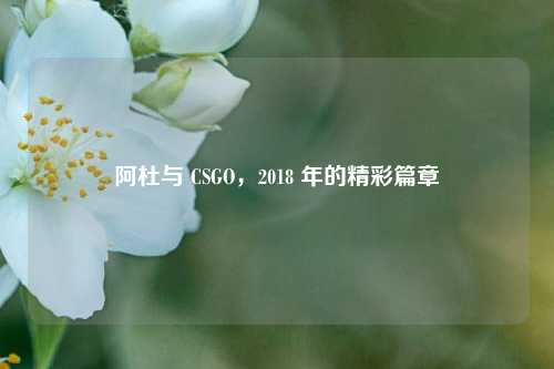 阿杜与 CSGO，2018 年的精彩篇章