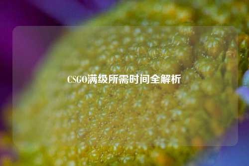 CSGO满级所需时间全解析