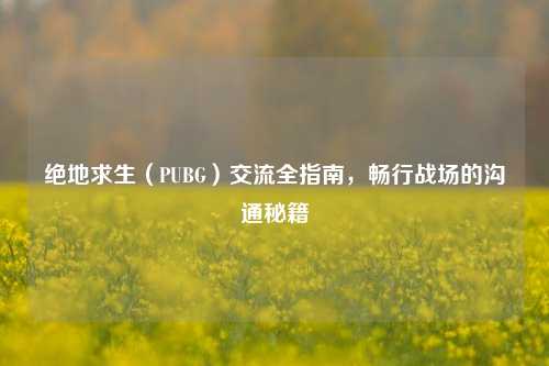 绝地求生(PUBG)交流全指南,畅行战场的沟通秘籍