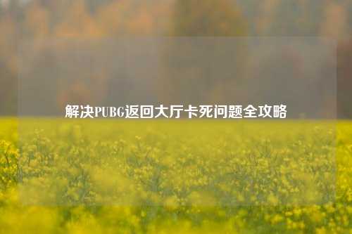 解决PUBG返回大厅卡死问题全攻略
