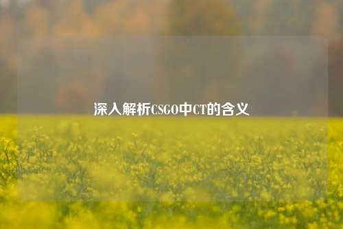 深入解析CSGO中CT的含义