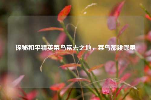 探秘和平精英菜鸟常去之地,菜鸟都跳哪里