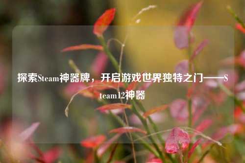 探索Steam神器牌,开启游戏世界独特之门——Steam12神器