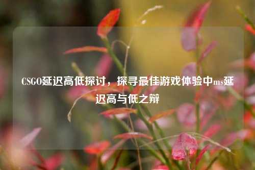 CSGO延迟高低探讨，探寻最佳游戏体验中ms延迟高与低之辩