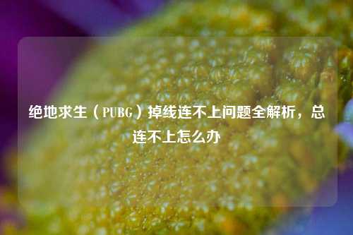 绝地求生(PUBG)掉线连不上问题全解析,总连不上怎么办