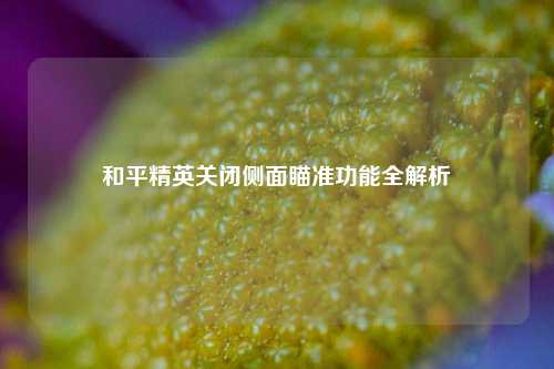 和平精英关闭侧面瞄准功能全解析