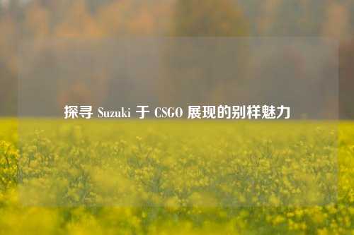 探寻 Suzuki 于 CSGO 展现的别样魅力