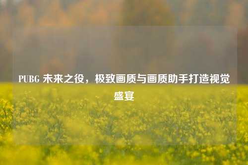 PUBG 未来之役，极致画质与画质助手打造视觉盛宴