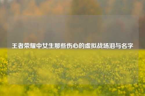 王者荣耀中女生那些伤心的虚拟战场泪与名字