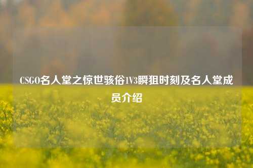 CSGO名人堂之惊世骇俗1V3瞬狙时刻及名人堂成员介绍