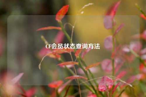 CF会员状态查询方法