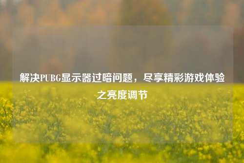 解决PUBG显示器过暗问题,尽享精彩游戏体验之亮度调节