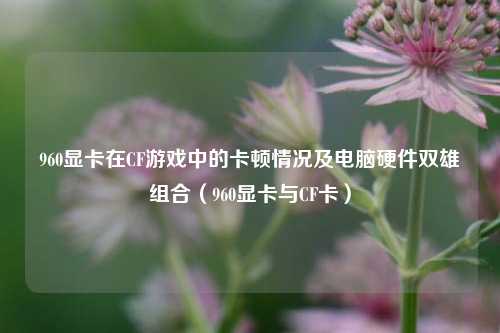 960显卡在CF游戏中的卡顿情况及电脑硬件双雄组合（960显卡与CF卡）