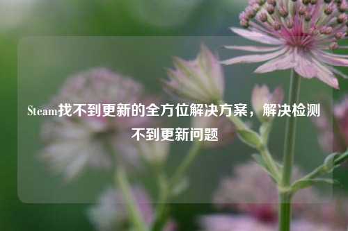 Steam找不到更新的全方位解决方案,解决检测不到更新问题