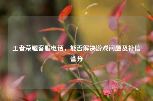 王者荣耀客服电话,能否解决游戏问题及补信誉分