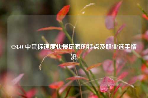 CSGO 中鼠标速度快慢玩家的特点及职业选手情况