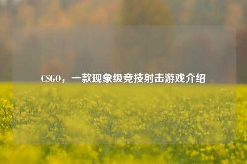 CSGO，一款现象级竞技射击游戏介绍