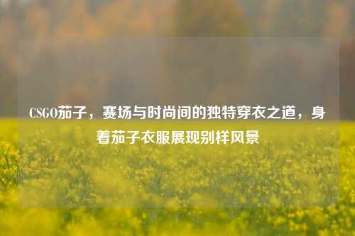 CSGO茄子,赛场与时尚间的独特穿衣之道,身着茄子衣服展现别样风景