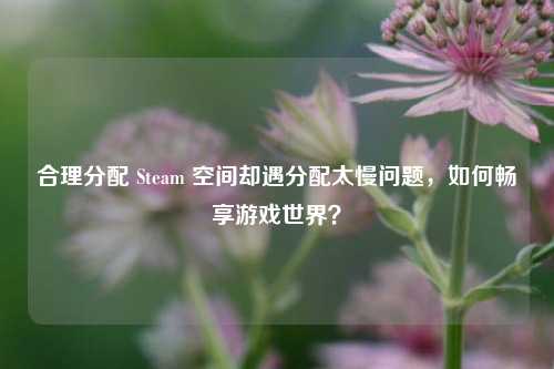 合理分配 Steam 空间却遇分配太慢问题,如何畅享游戏世界?