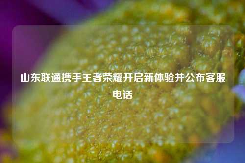 山东联通携手王者荣耀开启新体验并公布客服电话