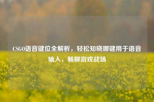 CSGO语音键位全解析,轻松知晓哪键用于语音输入,畅聊游戏战场