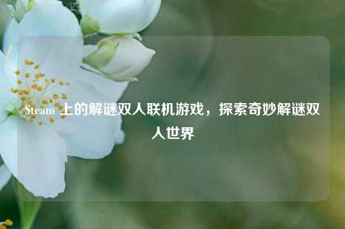 Steam 上的解谜双人联机游戏，探索奇妙解谜双人世界