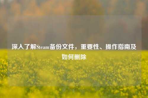 深入了解Steam备份文件，重要性、操作指南及如何删除