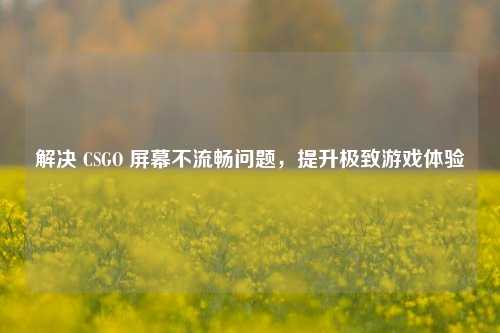 解决 CSGO 屏幕不流畅问题，提升极致游戏体验