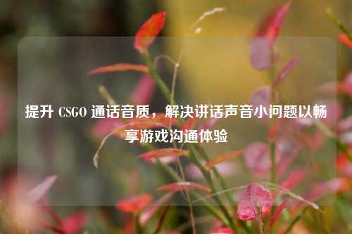 提升 CSGO 通话音质,解决讲话声音小问题以畅享游戏沟通体验