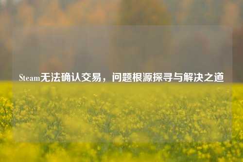 Steam无法确认交易,问题根源探寻与解决之道