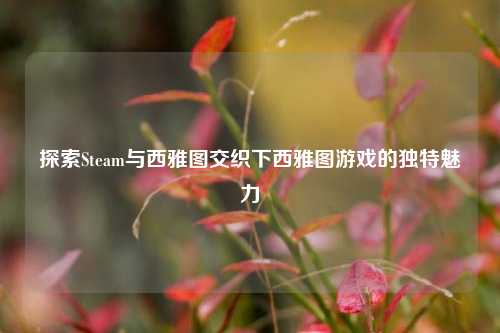 探索Steam与西雅图交织下西雅图游戏的独特魅力