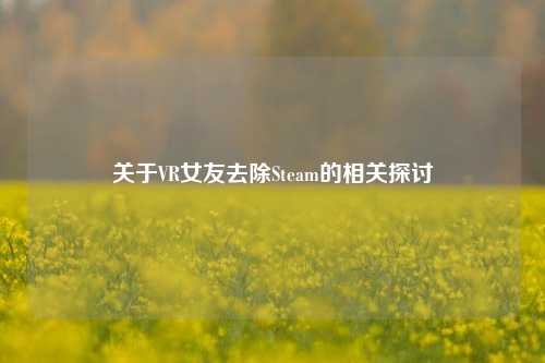 关于VR女友去除Steam的相关探讨